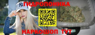прущие крисы Можга