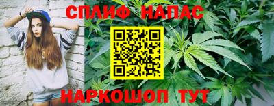 прущие крисы Можга