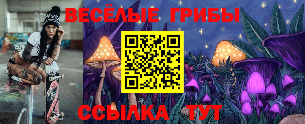 Псилоцибиновые грибы MAGIC MUSHROOMS  Вход с VPN  Будённовск 