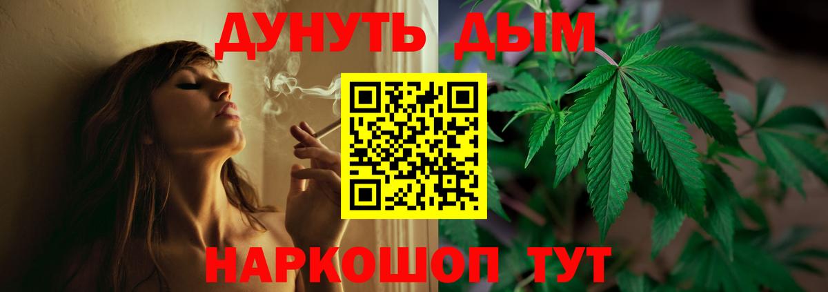 Бошки марихуана SATIVA & INDICA Будённовск